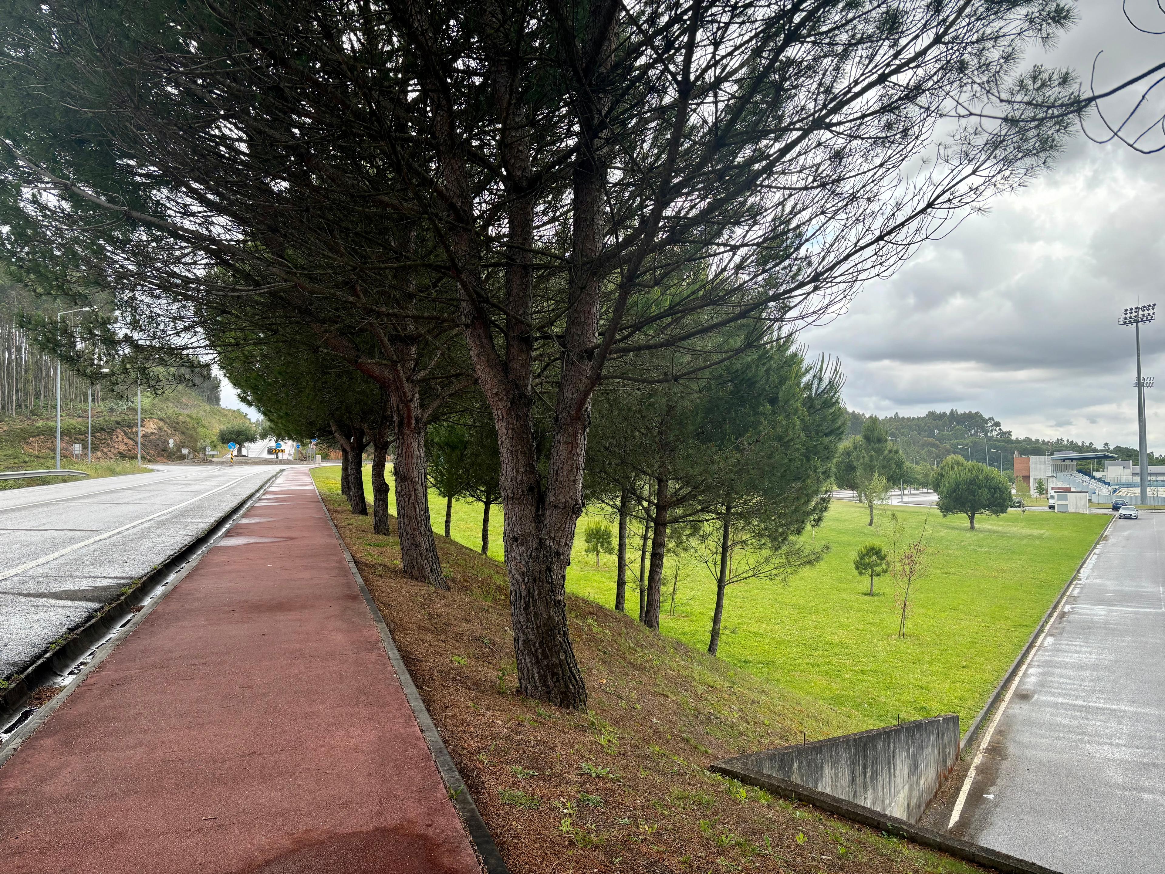 Scenic view of Anadia on the Camino Portugués