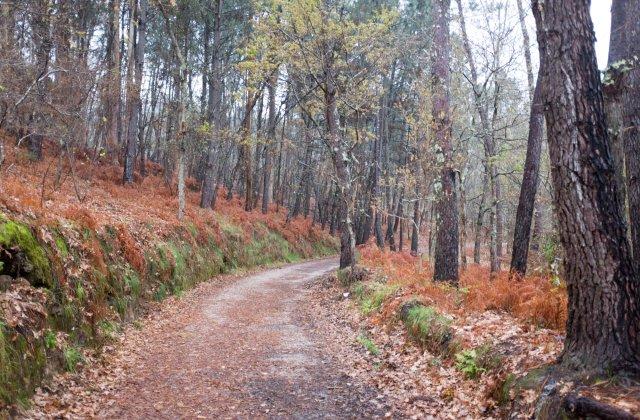 Scenic view of Cacheiro on the Camino Portugués