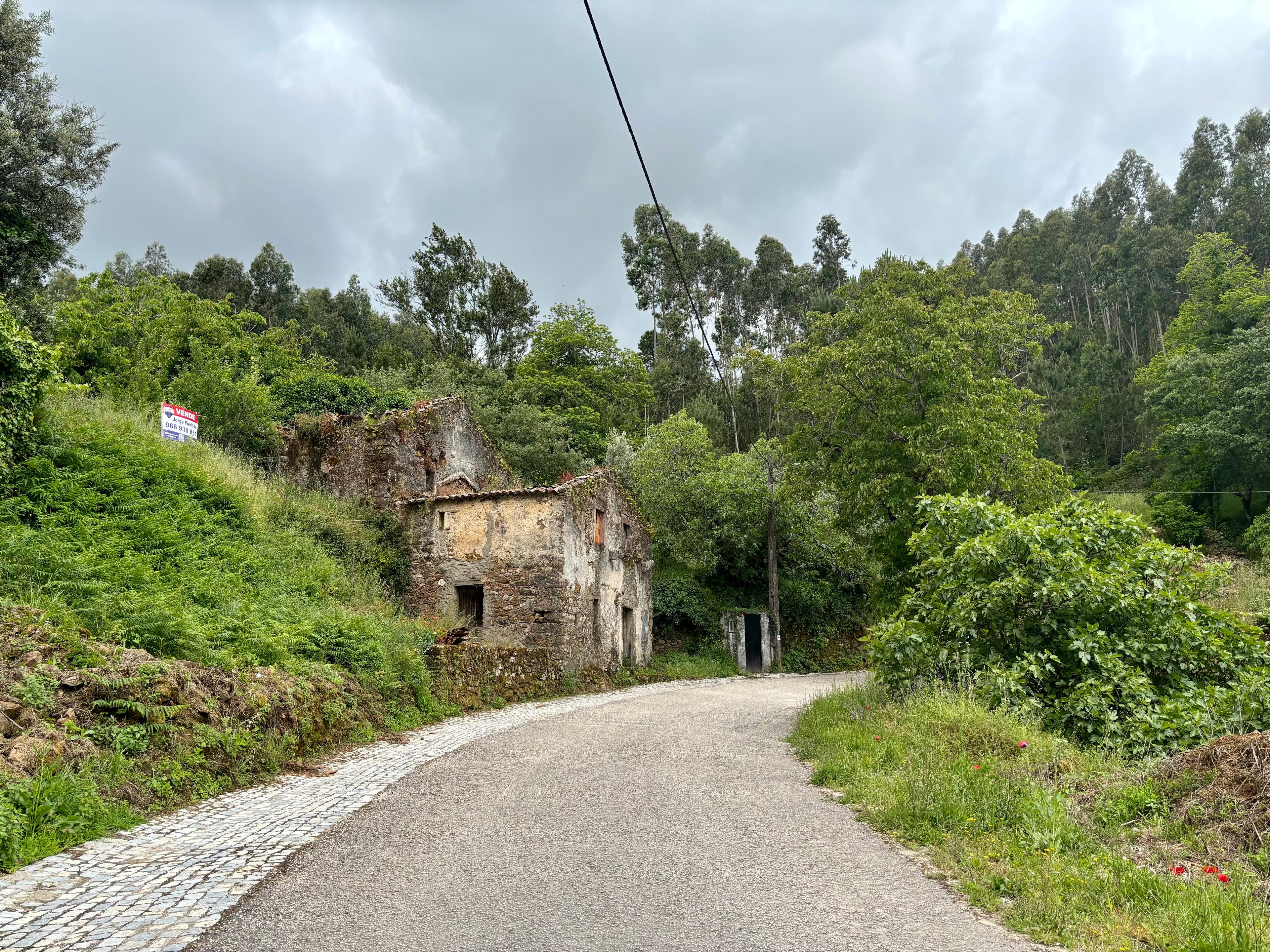 Scenic view of Laranjeiras on the Camino Portugués