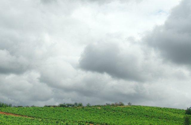 Scenic view of Cacabelos on the Camino Francés