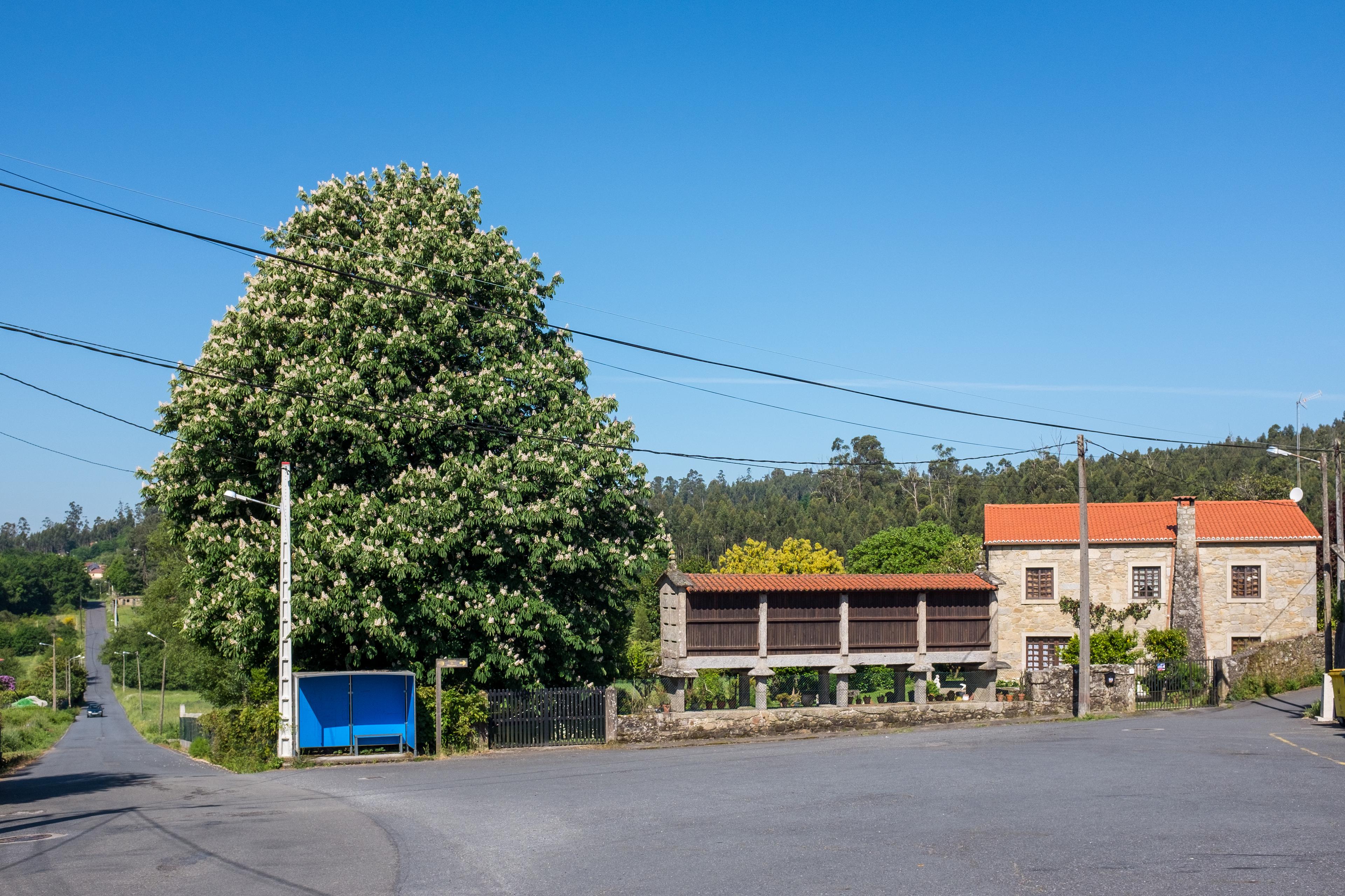 Scenic view of O Carballal on the Camino to Finisterre and Muxía