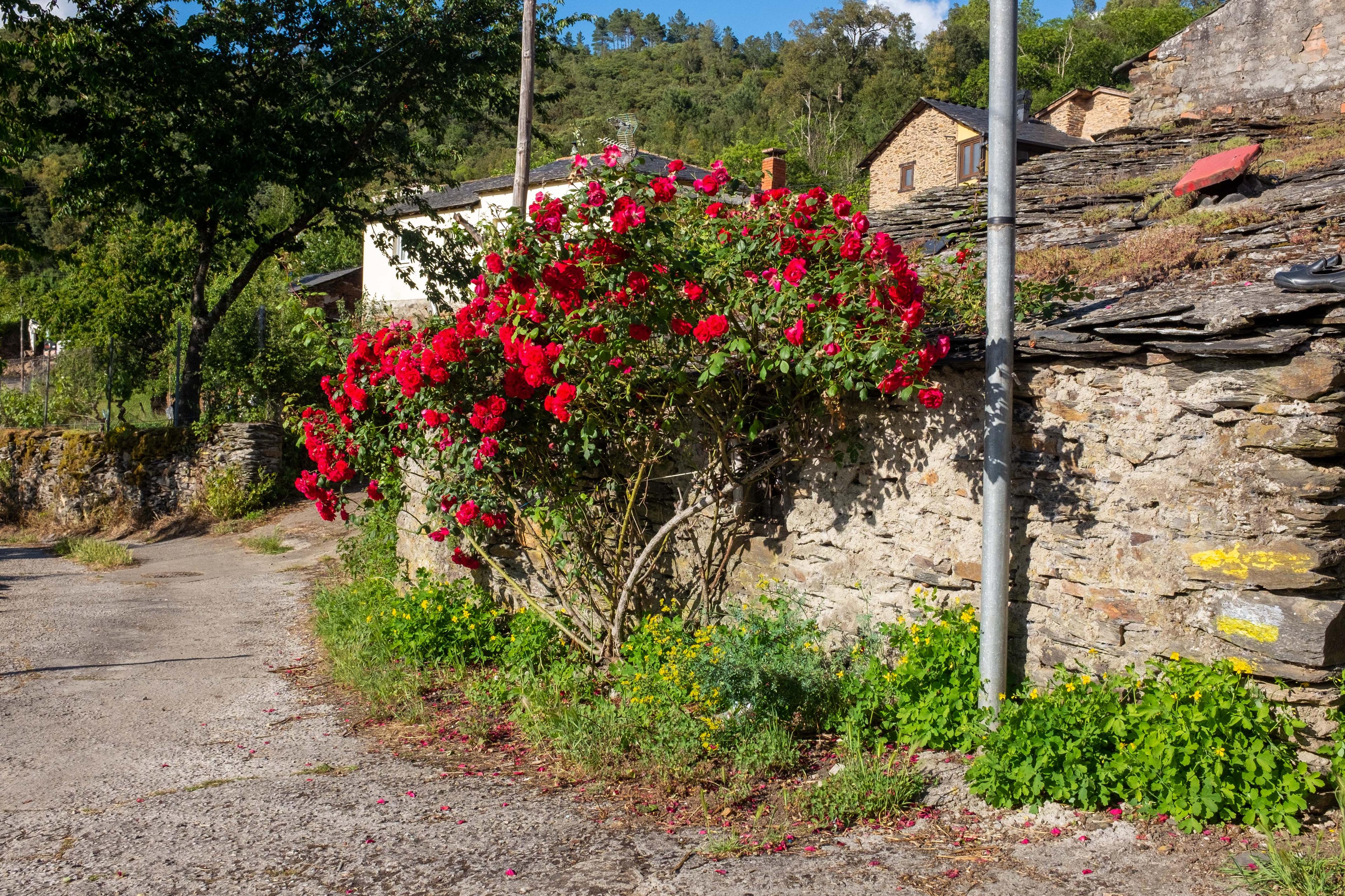 Scenic view of Novais on the Camino de Invierno