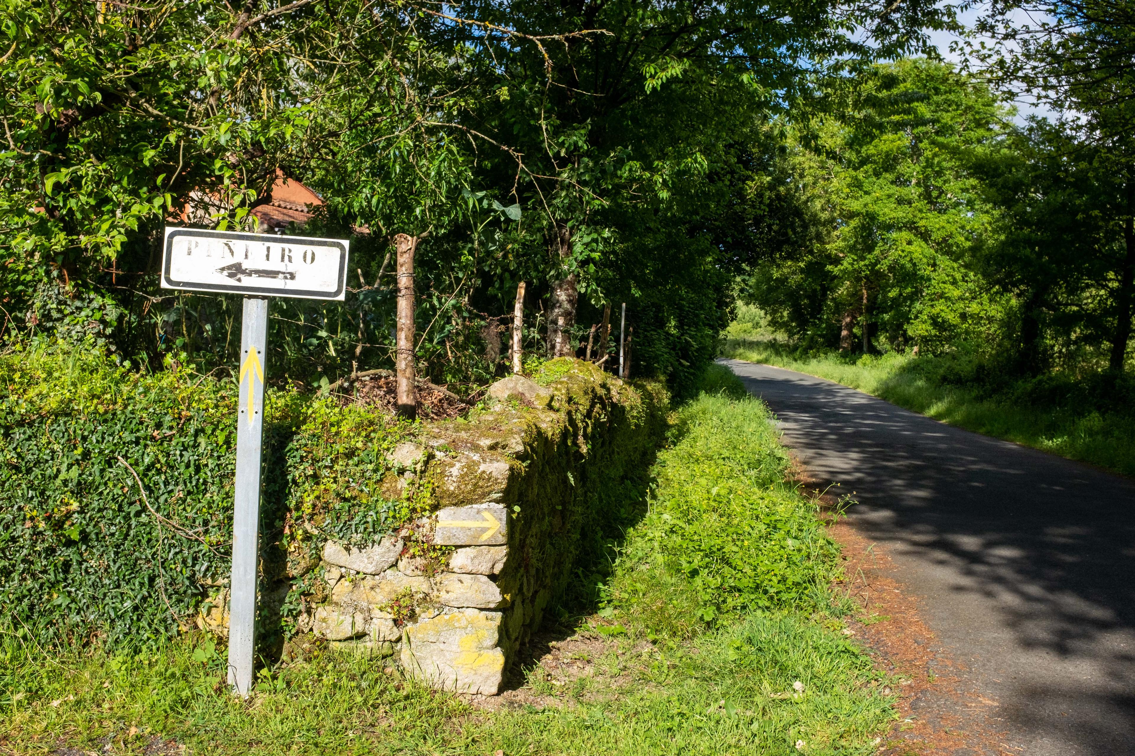 Scenic view of Piñeiro on the Camino de Invierno