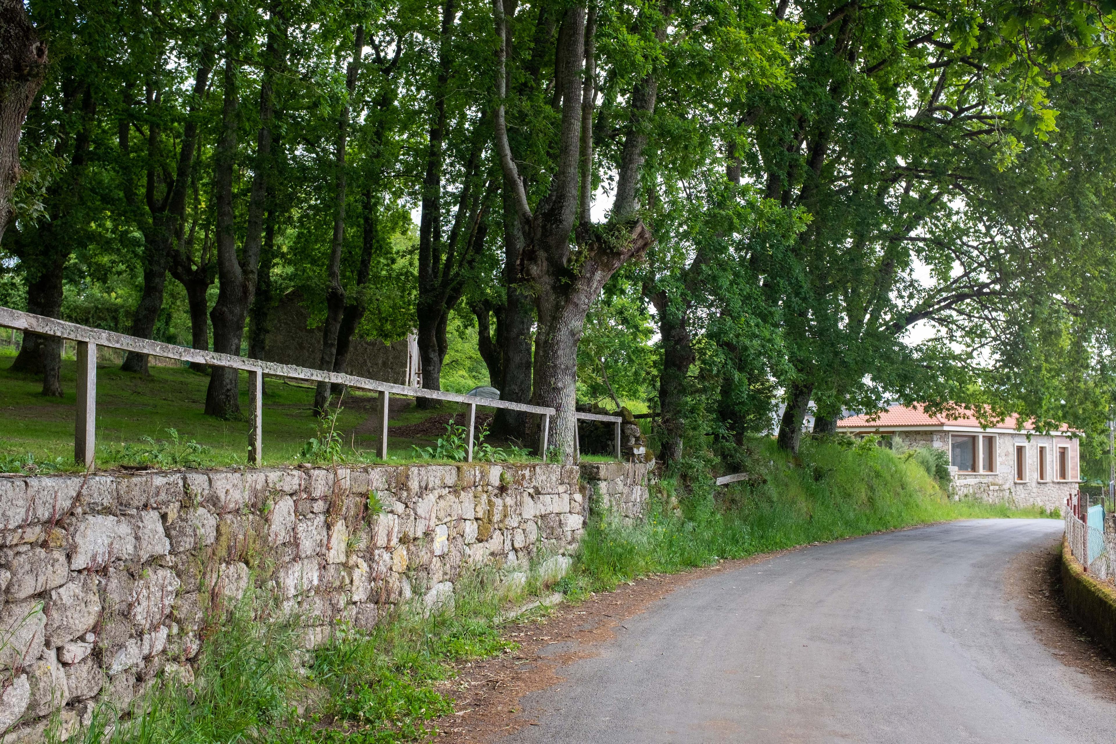 Scenic view of Centulle on the Camino de Invierno