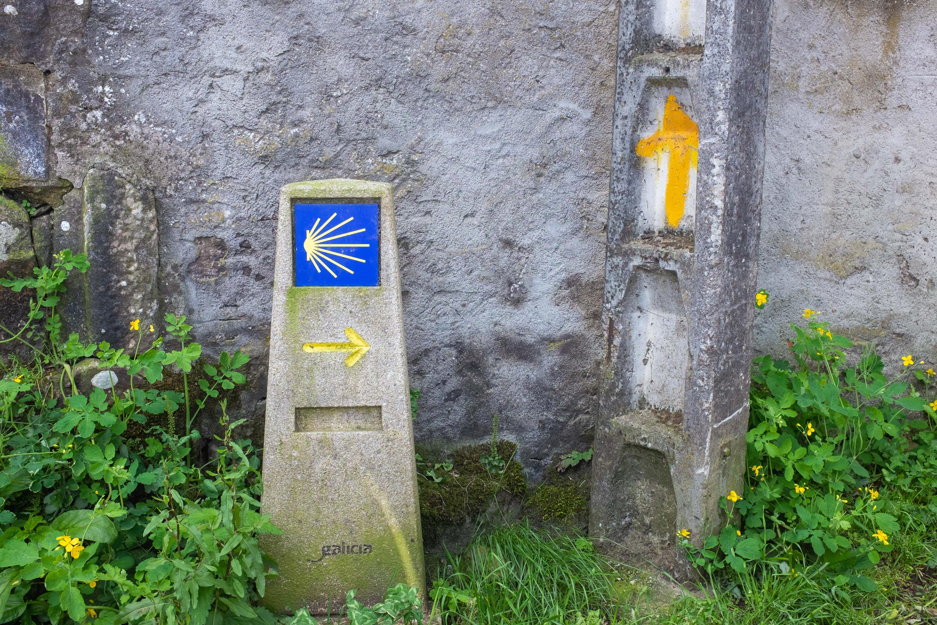 Scenic view of Palmaz on the Camino de Invierno