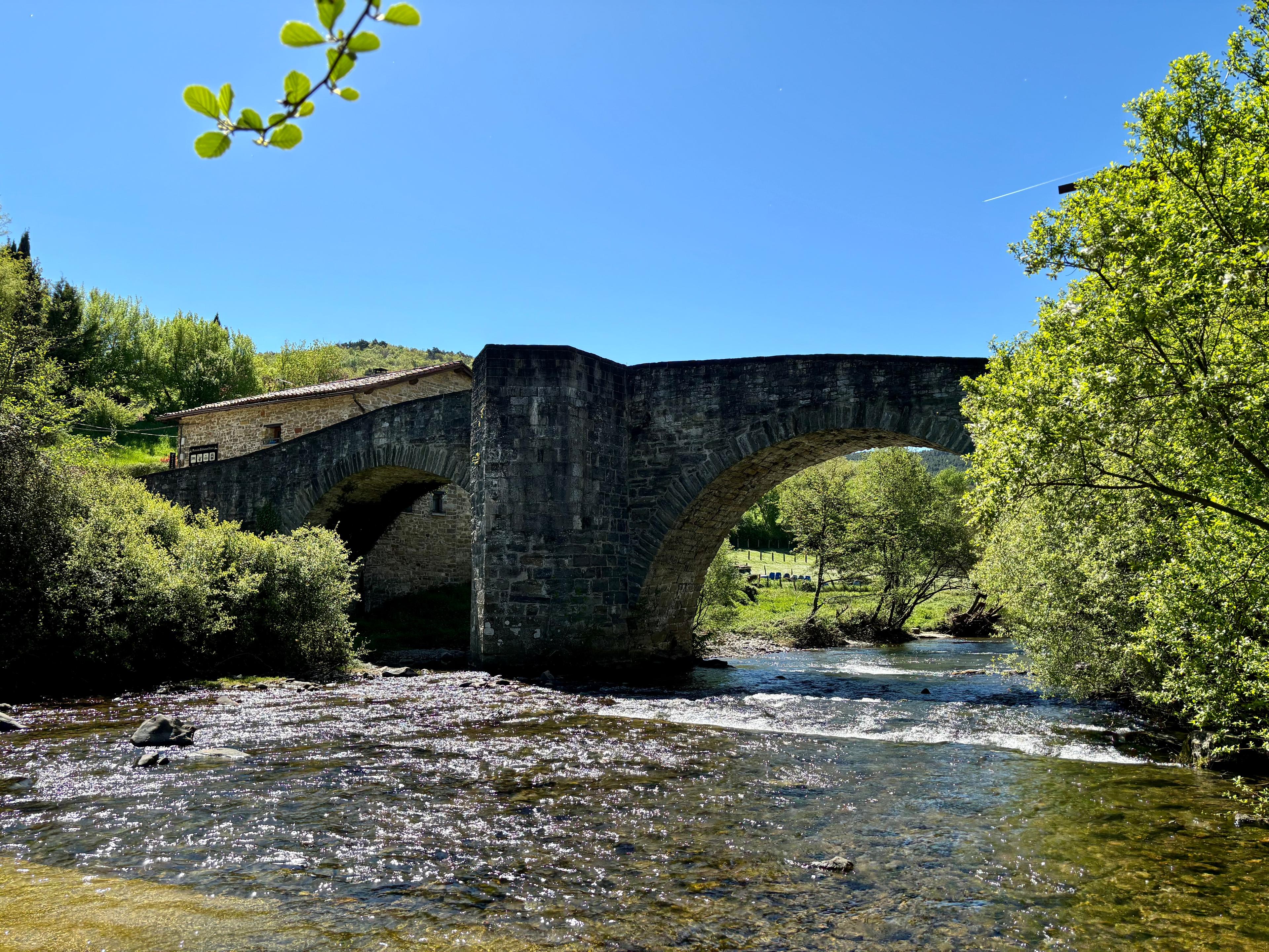 Scenic view of Zubiri on the Camino Francés