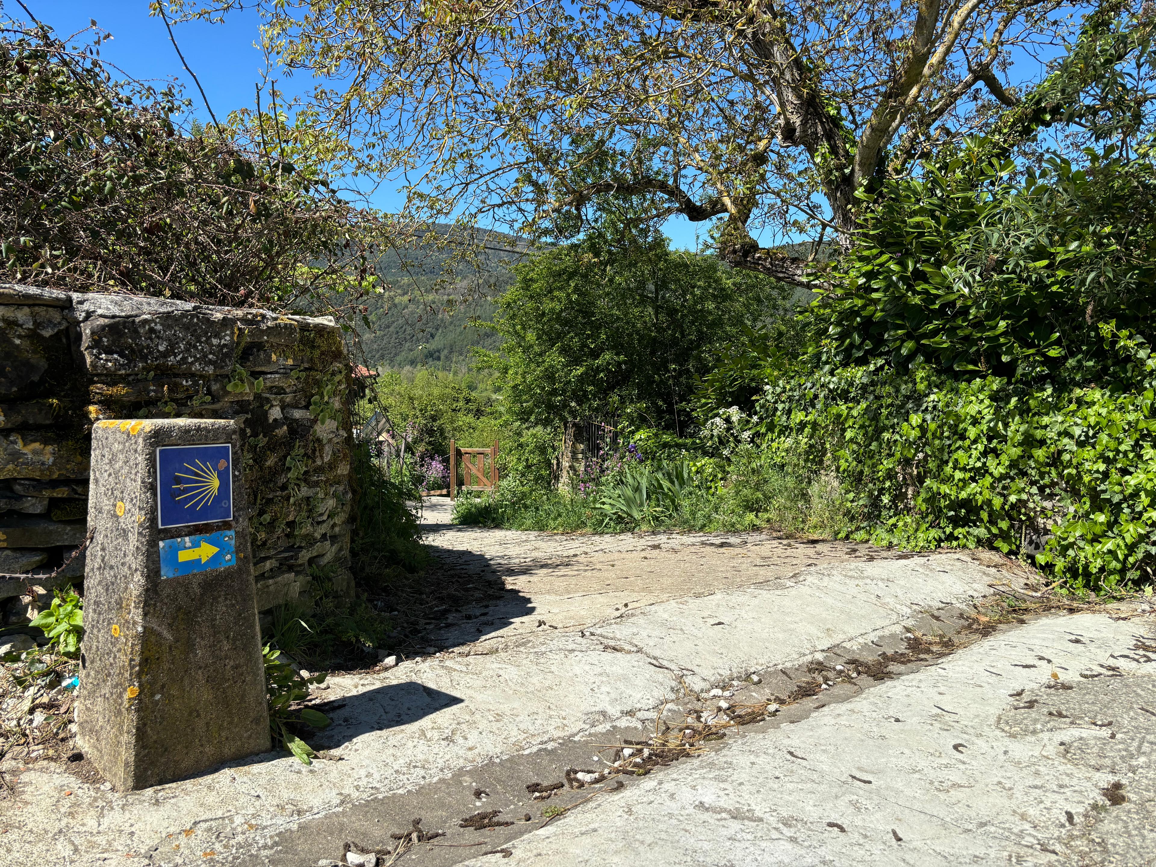 Scenic view of Aquerreta on the Camino Francés