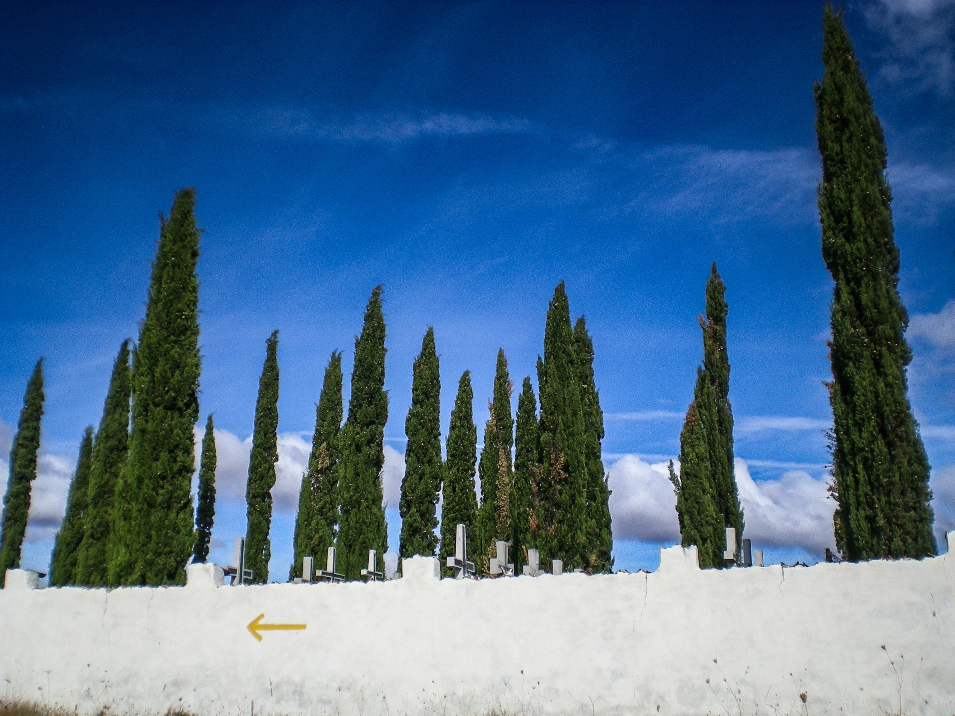 Scenic view of Valdelafuente on the Camino Francés