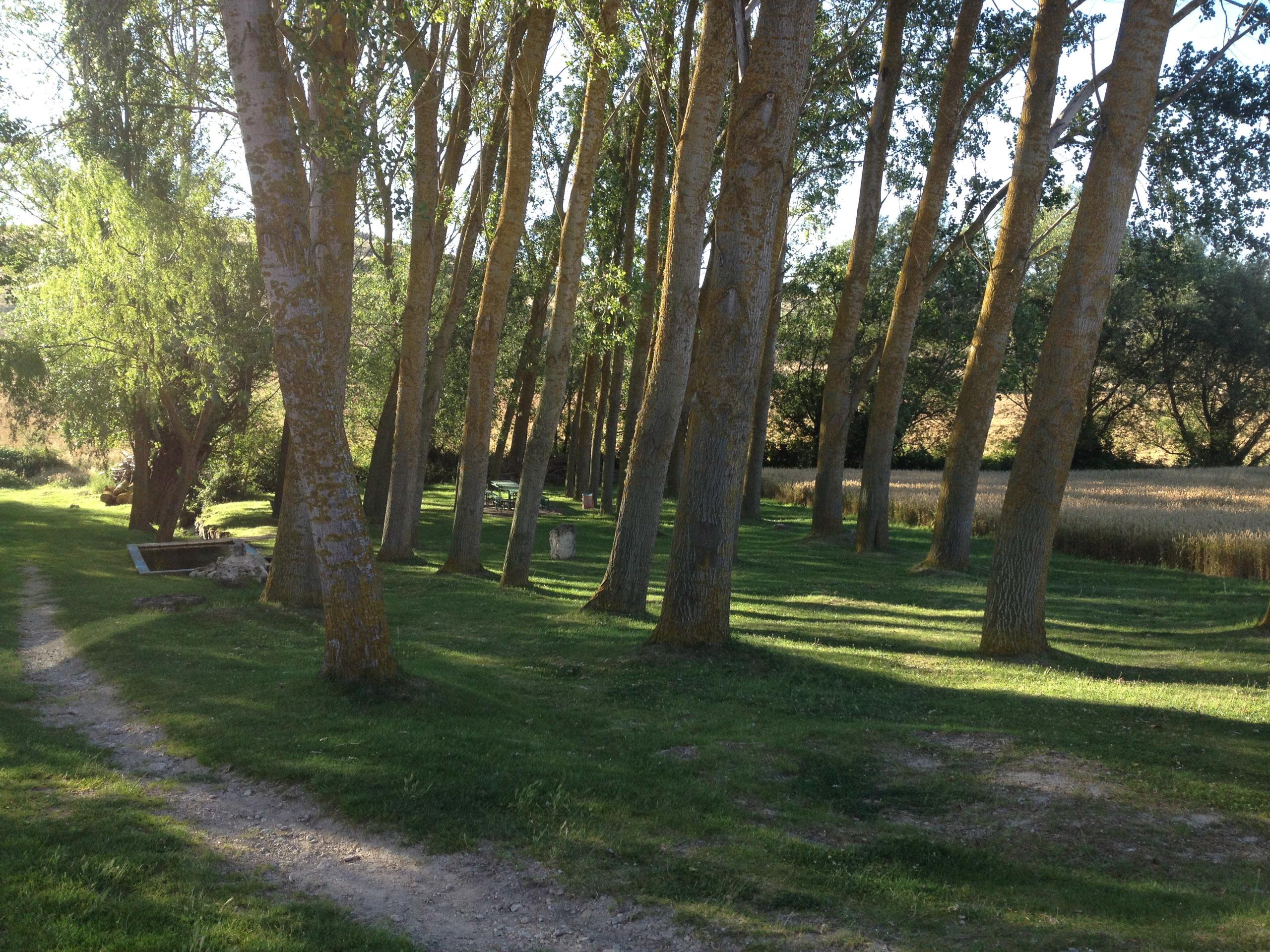 Camino de Santiago Accommodation: Albergue Arroyo de San Bol