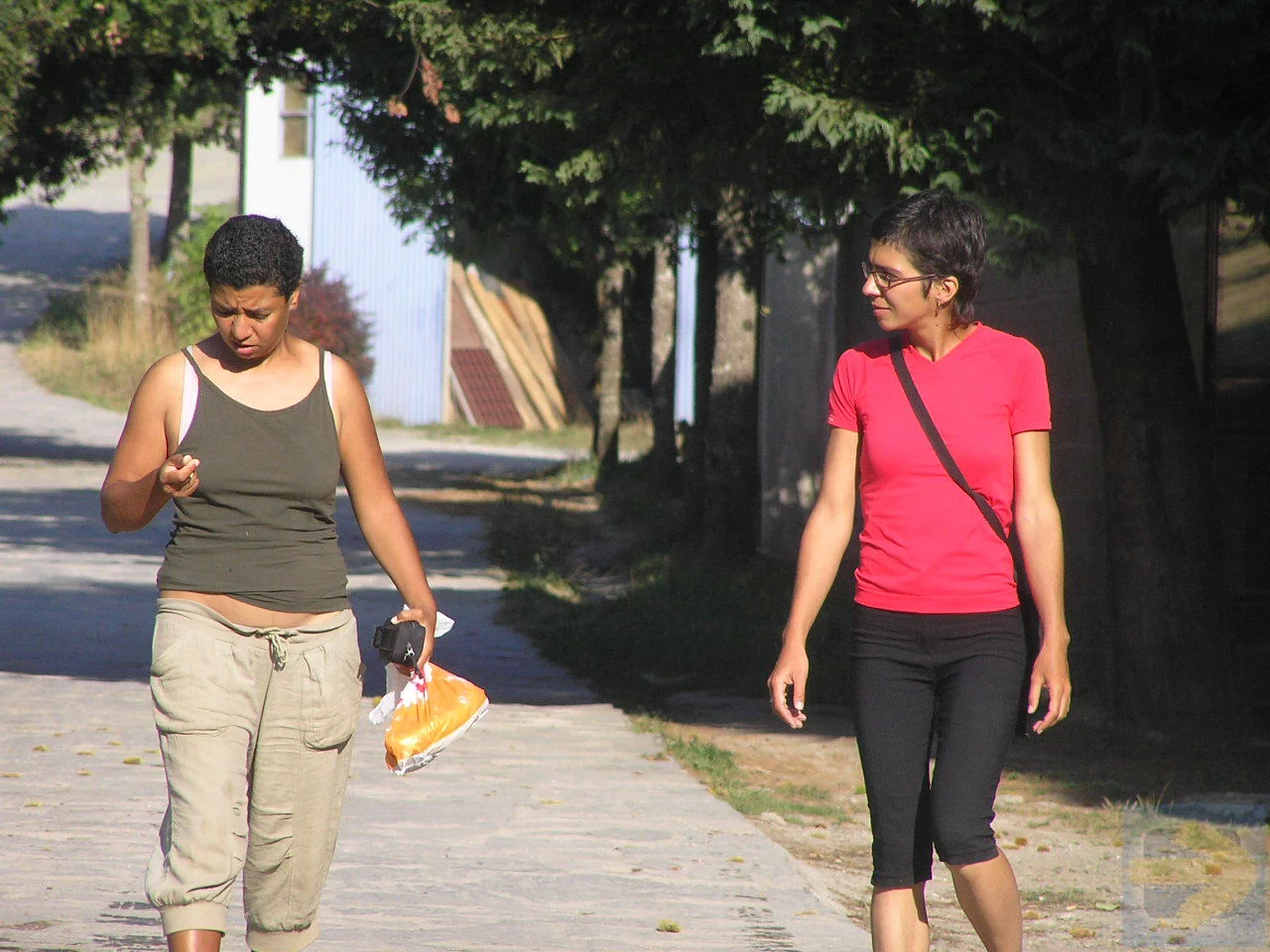 camino de santiago for wheelchair users, discapacitados, sila, rohlstuhle jakobsweg