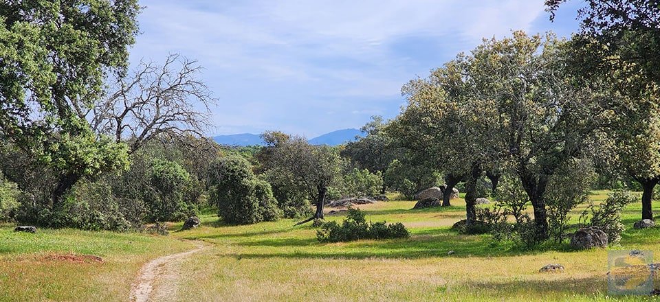 Day-19-Galisteo-to-Jarilla