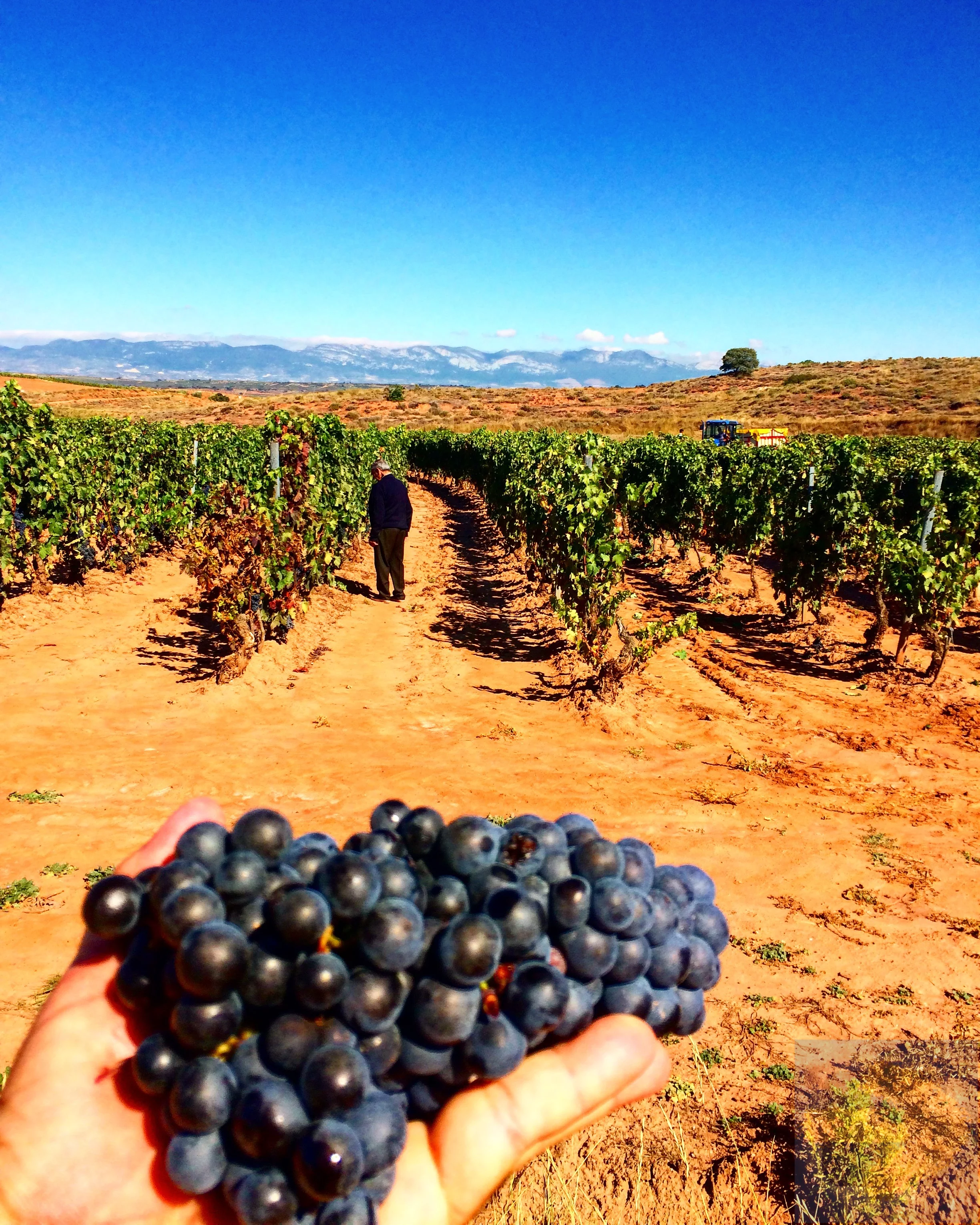 La Rioja region