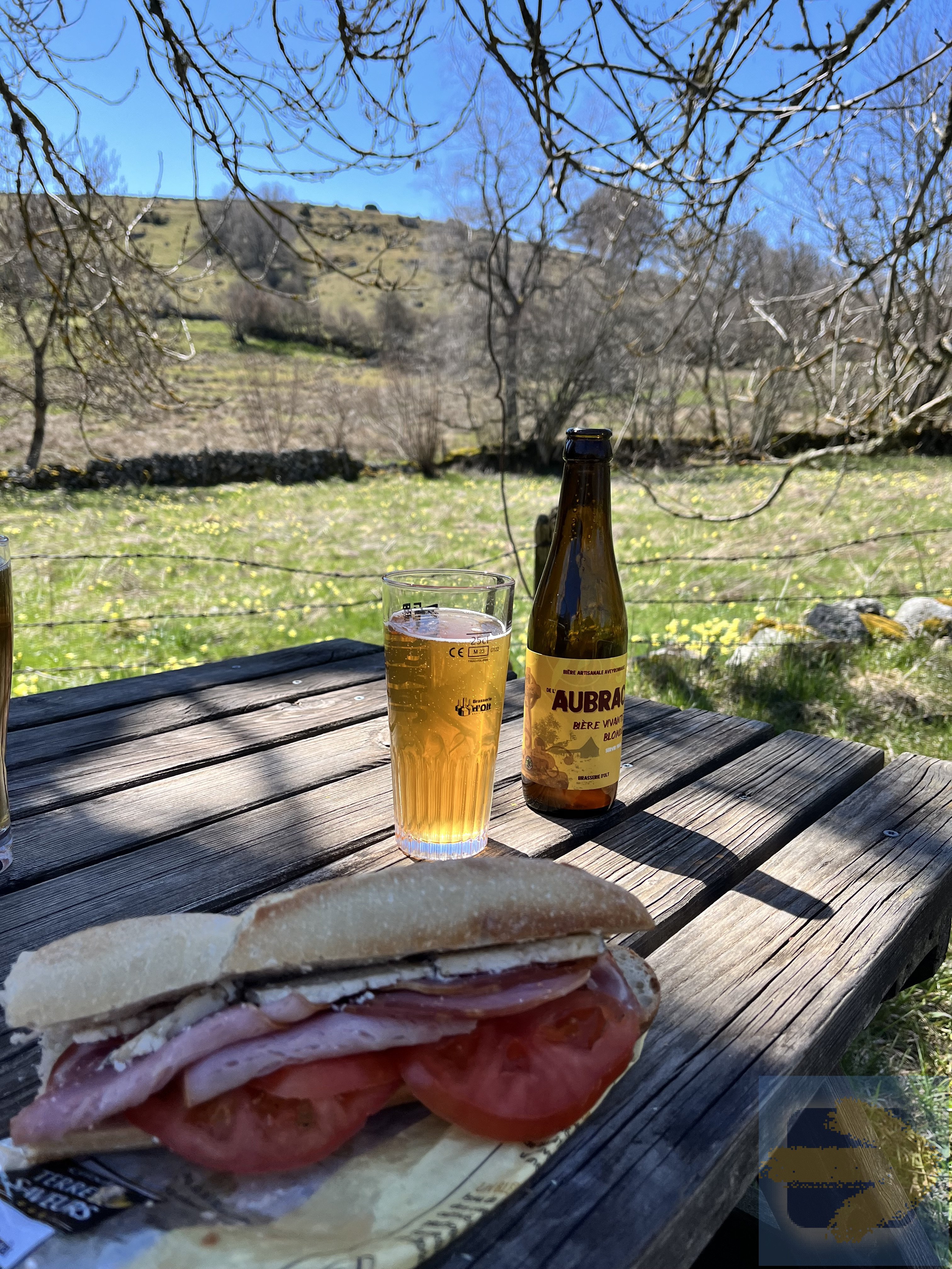 Le Bière et daffodils