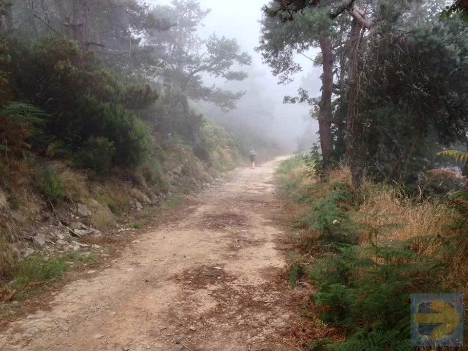 Morning Mist in Galicia