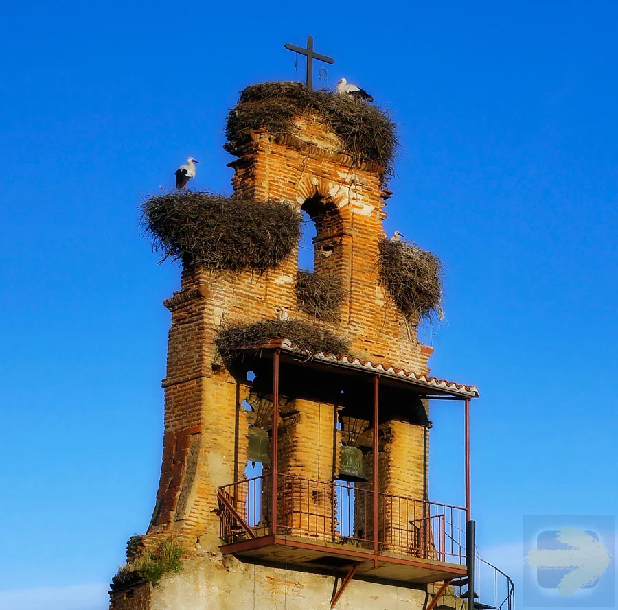 The “cigüeñas” watching over the Peregrinos